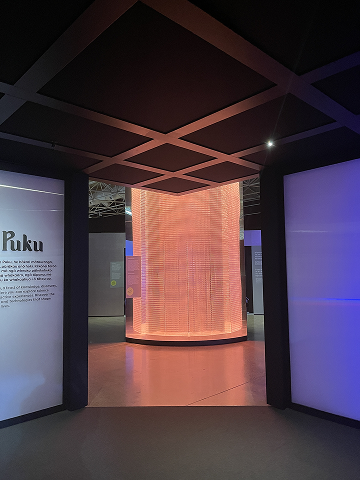Entrance to the Te Puku space at MOTAT, front view